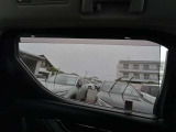 サンシェードも付いております♪