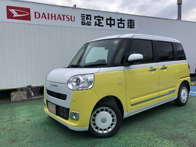 ムーヴキャンバス  ストライプス G