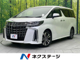 シーケンシャルターンランプ付キLEDヘッドライト 両側電動スライドドア