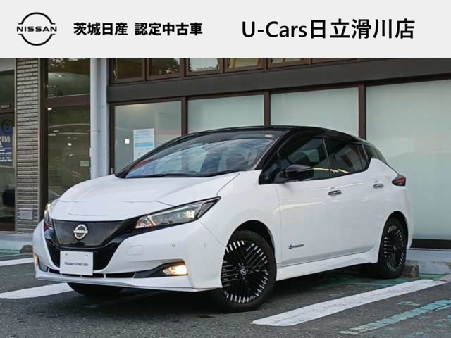 リーフ e+ G 