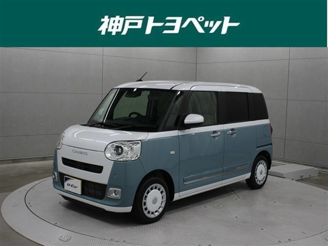 ムーヴキャンバス  ストライプス G