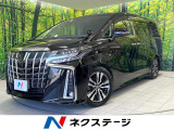 純正9型ナビ バックカメラ 衝突被害軽減システム レーダークルーズ