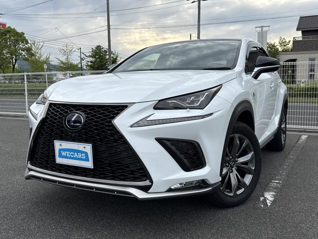 NX 300h Fスポーツ