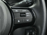 ◆アダプティブクルーズコントロール◆予め設定した車速内でクルマが自動的に加減速。前走車との適切な車間距離を維持しながら追従走行します。【LKAS】車線維持支援システムでステアリング操作を支援。