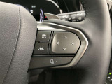 前方の車との車間を設定し、スピードを上げたり緩めたりを自動で行ってくれる追尾式の「レーダークルーズ」。上級装備の一つです!高級車にしかつかない嬉しい機能です。