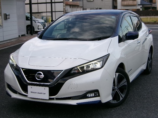 リーフ G