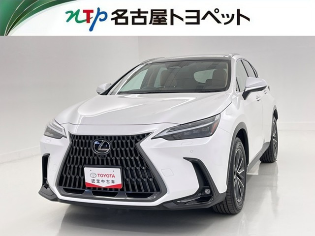 NX 250 バージョンL NX 250 バージョンL