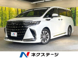 ムーンルーフ 14型ナビ 全周囲カメラ 両側電動ドア