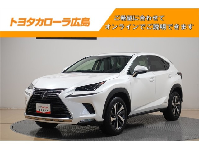 NX 300h Iパッケージ 