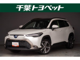 【メイン】 千葉・茨城・埼玉・東京・神奈川での登録、及びご来店いただける方への販売に限らせていただきます。