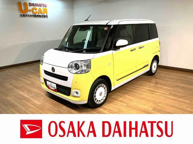 ムーヴキャンバス  ストライプス G