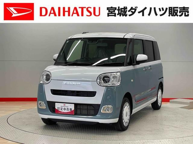 ムーヴキャンバス  ストライプス G