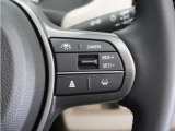◆アダプティブクルーズコントロール◆予め設定した車速内でクルマが自動的に加減速。前走車との適切な車間距離を維持しながら追従走行します。【LKAS】車線維持支援システムでステアリング操作を支援。