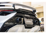 Tailpipes matt black