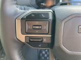 ランドクルーザー250 2.8 VX ディーゼル 4WD 本革シート