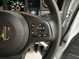 高速での運転をサポートし、疲労を軽減するクルーズコントロールを標準装備しています。