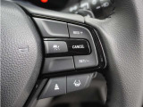 ◆アダプティブクルーズコントロール◆予め設定した車速内でクルマが自動的に加減速。前走車との適切な車間距離を維持しながら追従走行します。【LKAS】車線維持支援システムでステアリング操作を支援。