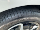 溝はご覧の通りでございます。