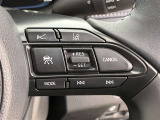 前方の車との車間を設定し、スピードを上げたり緩めたりを自動で行ってくれる追尾式の「レーダークルーズ」。上級装備の一つです!高級車にしかつかない嬉しい機能です。