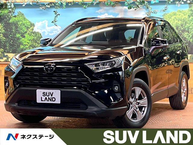 RAV4 2.0 X 