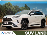 RDエアロ 純正9インチナビ  ブラインドスポットモニター パワーバック