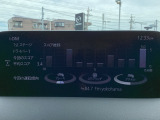 i-DM(インテリジェント・ドライブ・マスター)は運転操作の無駄を抑えたスムーズな運転をサポートし、快適なドライブや燃料消費を抑える事にも役立つアイテムです。