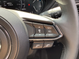 ミリ波レーダーで低速域〜高速域まで、先行車との車間を維持しながら追従走行を可能にします。長距離走行などでドライバーの負担を軽減します。