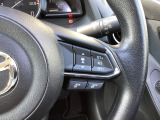 ミリ波レーダーで低速域〜高速域まで、先行車との車間を維持しながら追従走行を可能にします。長距離走行などでドライバーの負担を軽減します。
