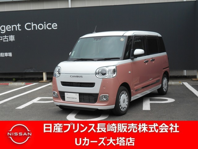 ムーヴキャンバス  ストライプス G