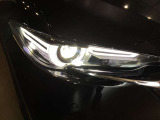 人気のLEDライト!!夜間走行が明るくて楽になりますね!