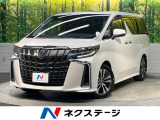 サンルーフ 両側電動ドア 後席モニター バックカメラ 100V電源