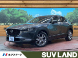 純正8型ナビ 360&deg;ビューモニター ETC ドラレコ 革シート 禁煙車
