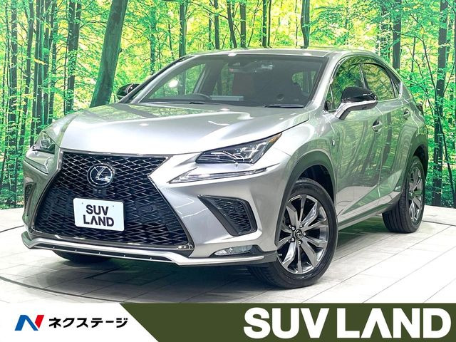 NX 300h Fスポーツ 