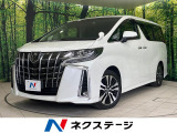 サンルーフ 後席モニター BIG-X11型ナビ バックカメラ