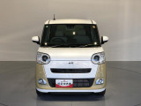 ムーヴキャンバス  ストライプス G