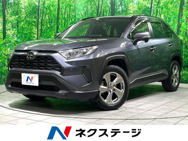 RAV4 2.0 X