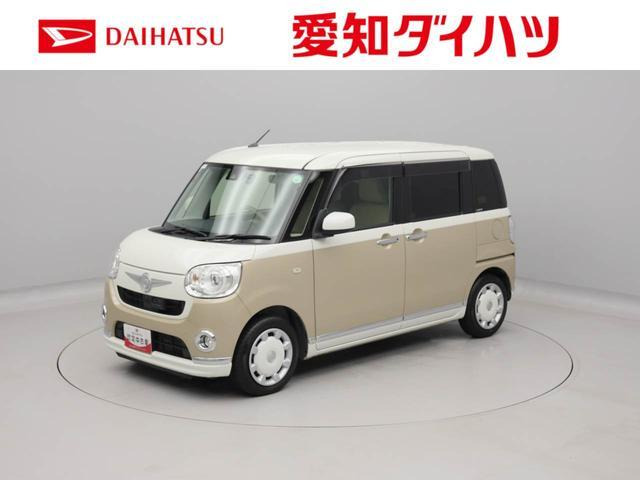 ムーヴキャンバス G メイクアップ SAII 