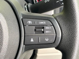 【ホンダセンシング】走行中に前方の車両等を認識し、衝突しそうな時は警報とブレーキで衝突回避と被害軽減をアシスト。より安全にドライブをお楽しみいただけます。