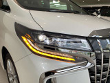 夜間走行や山道走行でも視界良好のLEDヘッドライト&LEDフォグランプ付き!
