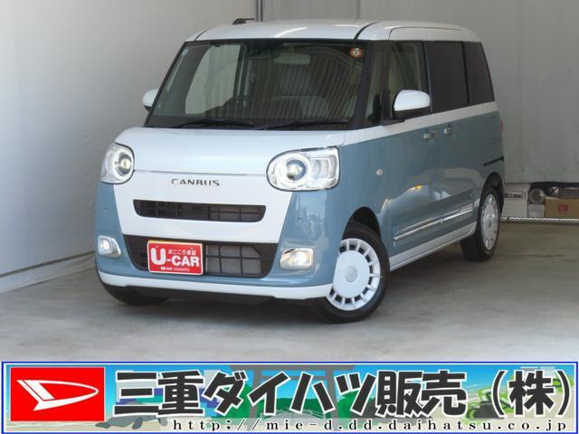 ムーヴキャンバス  ストライプス G