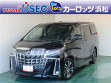 トヨタにおけるミニバンのフラッグシップ。上品な外観に、高い居住性をあわせ持つクルマです。