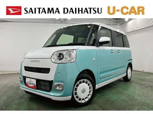 ムーヴキャンバス  ストライプス G