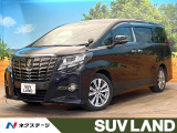 禁煙車 両側電動ドア 純正8インチナビ 後席モニター バックカメラ