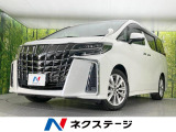 両側電動ドア 純正10型ナビ 後席モニター バックカメラ 衝突軽減