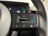 プロパイロット付きです☆ 前を走行している車との車間距離を把握して、停車したり前進したりを自動で促します♪