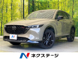 10.25型ナビ 全周囲カメラ 衝突被害軽減システム レーダークルーズ