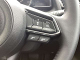 ステアリング右には運転支援系システムがまとまっており、運転中の操作の迷いを少なくしてくれます。