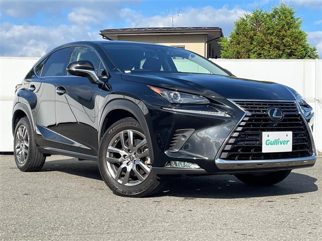 NX 300 4WD 修復歴無し