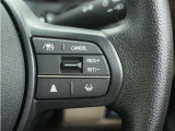 ◆アダプティブクルーズコントロール◆予め設定した車速内でクルマが自動的に加減速。前走車との適切な車間距離を維持しながら追従走行します。【LKAS】車線維持支援システムでステアリング操作を支援。