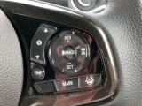 運転支援システムのスイッチになります。高速道路での運転も楽々です!